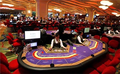 2024年哪些赌场和彩票业务将接受检查？